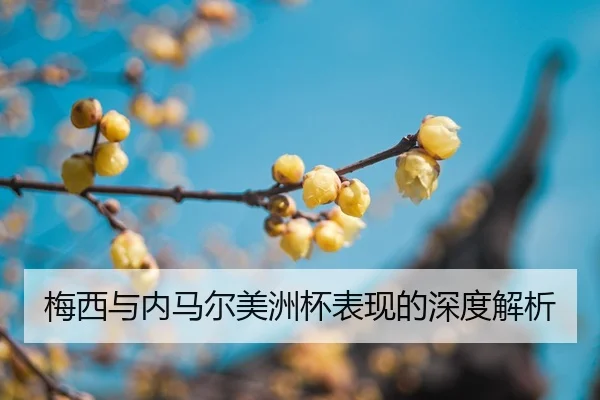 mei-xi-yu-nei-ma-er-mei-zhou-bei-biao-xian-de-shen-du-jie-xi-2-361.jpg